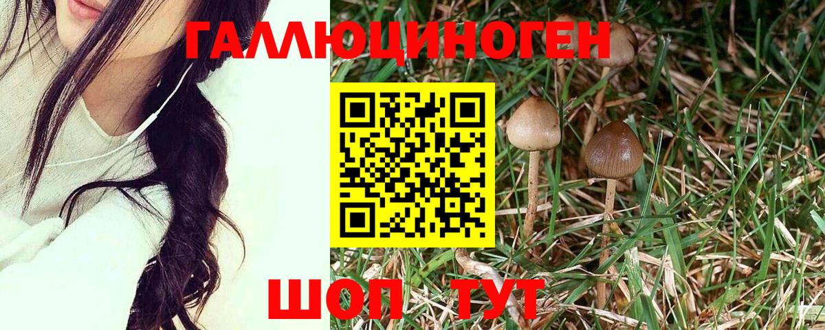 Лабытнанги  Псилоцибиновые грибы Psilocybe  Вход с VPN 